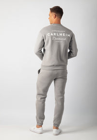 Hudson Branded Sweatshirt (Stone Grey)